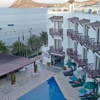 Informații generale preview