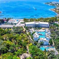 Informații generale preview