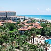 Informații generale preview