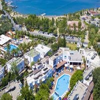 Informații generale preview