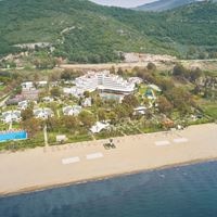 Informații generale preview