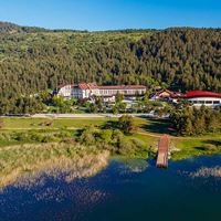 Informații generale preview