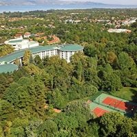 Informații generale preview