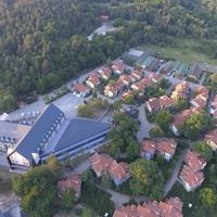 Informații generale preview