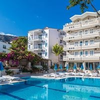 Informații generale preview