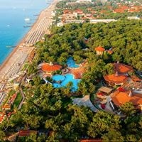 Informații generale preview