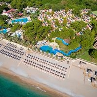 Informații generale preview