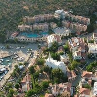 Informații generale preview