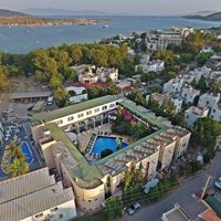 Informații generale preview
