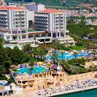 Informații generale preview