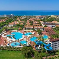 Informații generale preview