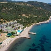 Informații generale preview