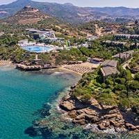 Informații generale preview