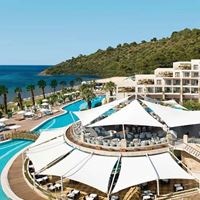 Informații generale preview