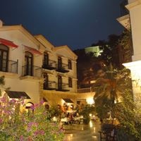 Informații generale preview