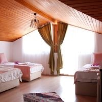 Informații generale preview