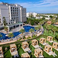 Informații generale preview