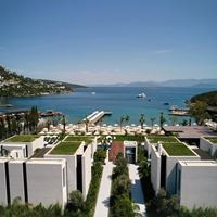 Informații generale preview