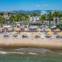 Informații generale preview