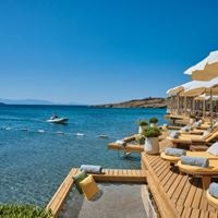 Informații generale preview