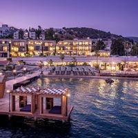 Informații generale preview