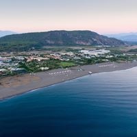 Informații generale preview