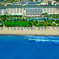 Informații generale preview