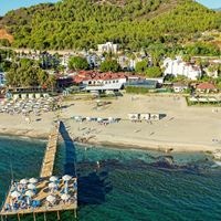 Informații generale preview