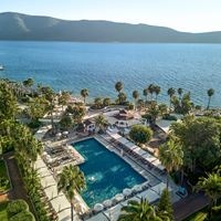 Informații generale preview