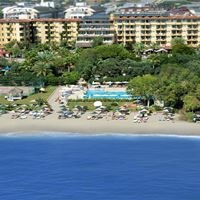 Informații generale preview