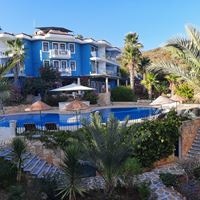 Informații generale preview