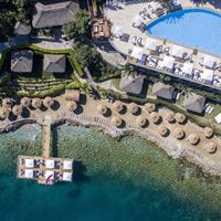 Informații generale preview