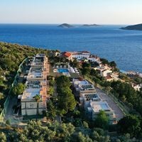 Informații generale preview