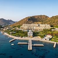 Informații generale preview