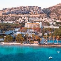 Informații generale preview