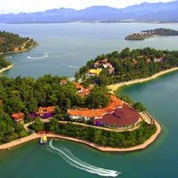 Informații generale preview