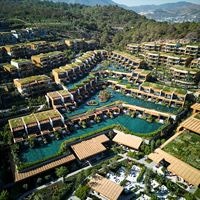 Informații generale preview