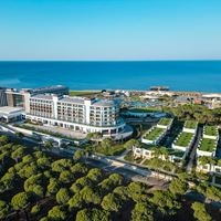 Informații generale preview