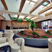 Informații generale preview