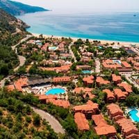 Informații generale preview