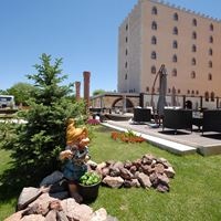 Informații generale preview