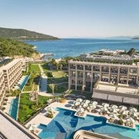 Informații generale preview