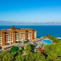 Informații generale preview