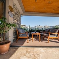 Informații generale preview