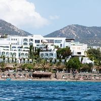 Informații generale preview