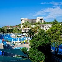 Informații generale preview