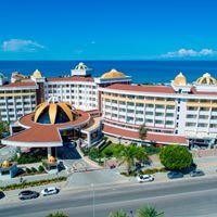 Informații generale preview