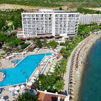 Informații generale preview