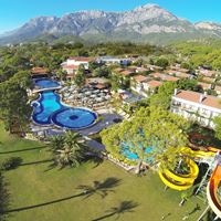 Informații generale preview