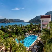 Informații generale preview